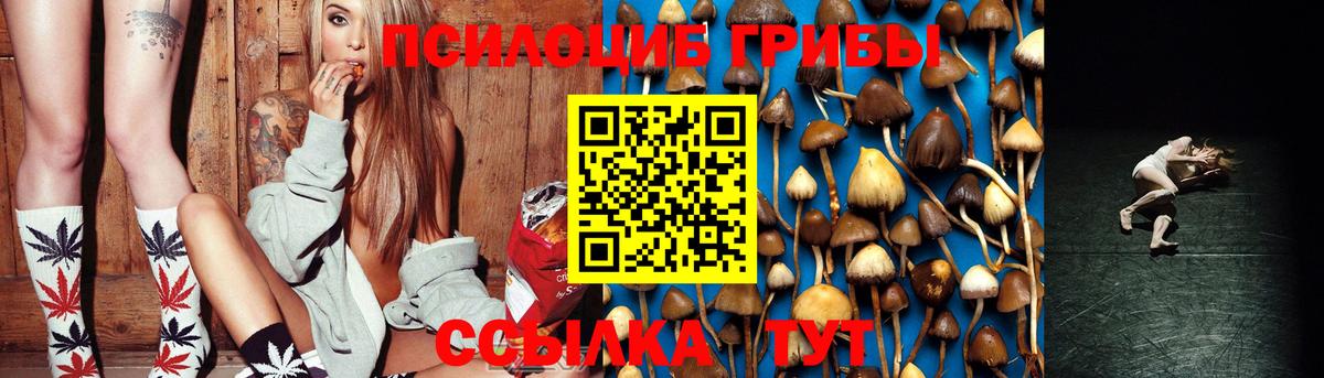 Галлюциногенные грибы Cubensis Бийск