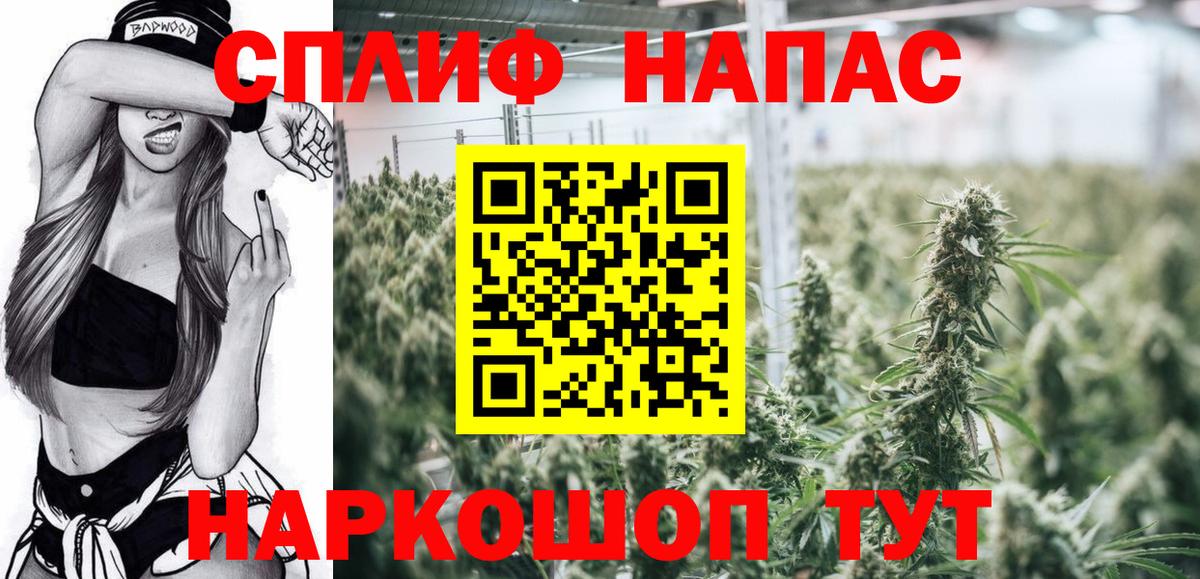Конопля конопля Бийск